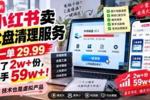 小红书卖C盘清理服务,一单29.99,卖了2w+份,技术也是虚拟产品