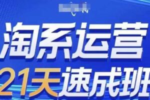 淘系运营21天速成班，0基础轻松搞定淘系运营，不做假把式，快速复制落地(更新26年9月)
