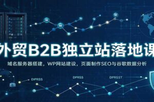 外贸B2B独立站落地课：域名服务器搭建，WP网站建设，页面制作SEO与谷歌数据分析