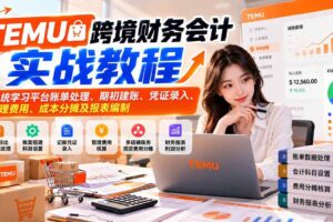 (21057期)TEMU跨境财务会计实战教程:系统学习平台账单处理、期初建账、凭证录入、管理费用、成本分摊及报表编制