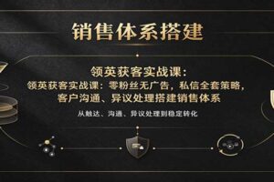 领英获客实战课：零粉丝无广告，私信全套策略，客户沟通、异议处理搭建销售体系