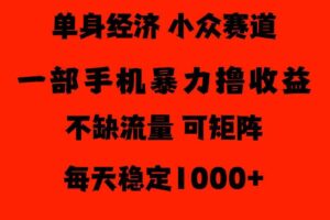 26年暴力单身经济，稳定日入500-1k，不缺流量，流量极大，冷门小众赛道，门槛低小白轻松上手【揭秘】