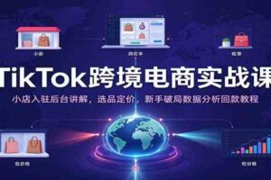 TikTok跨境电商实战课：小店入驻后台讲解，选品定价，新手破局数据分析回款教程