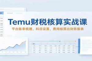 Temu财税核算实战课：平台账单梳理，科目设置，费用核算出财务报表