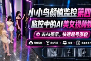 小小鸟颜值监控第四期，监控中的AI美女视频教学，去AI提示，快速起号涨粉，网盘拉新+商K引流+收徒+商单等多种收益